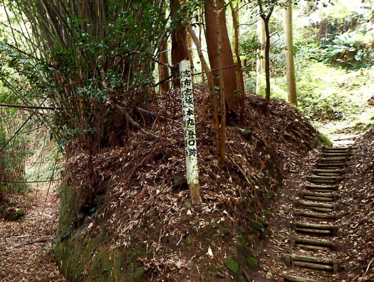Shibushi Castle: A Medieval Hill-Castle Complex in Japan