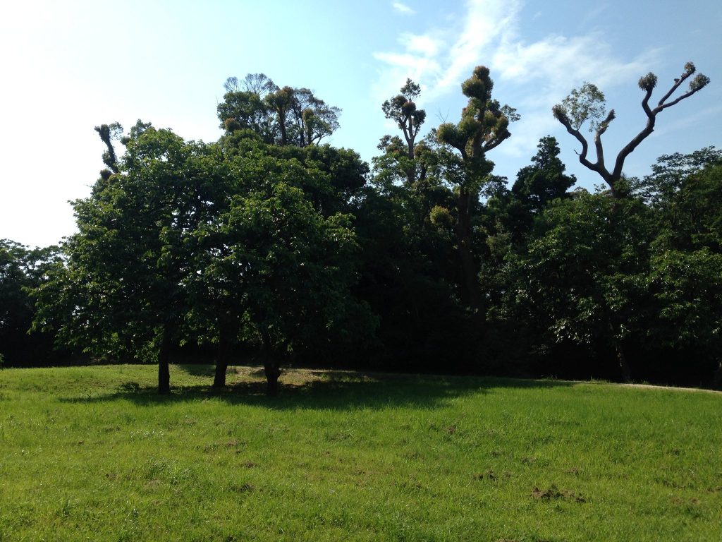 Mizuki: A Seventh-Century Fortified Embankment in Japan 3 Mizuki