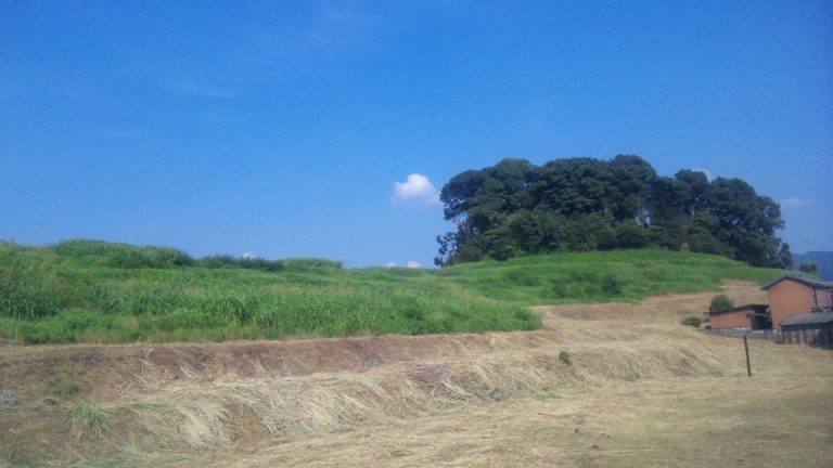 Maruyama Kofun: A Late Kofun-Period Burial Mound in Japan