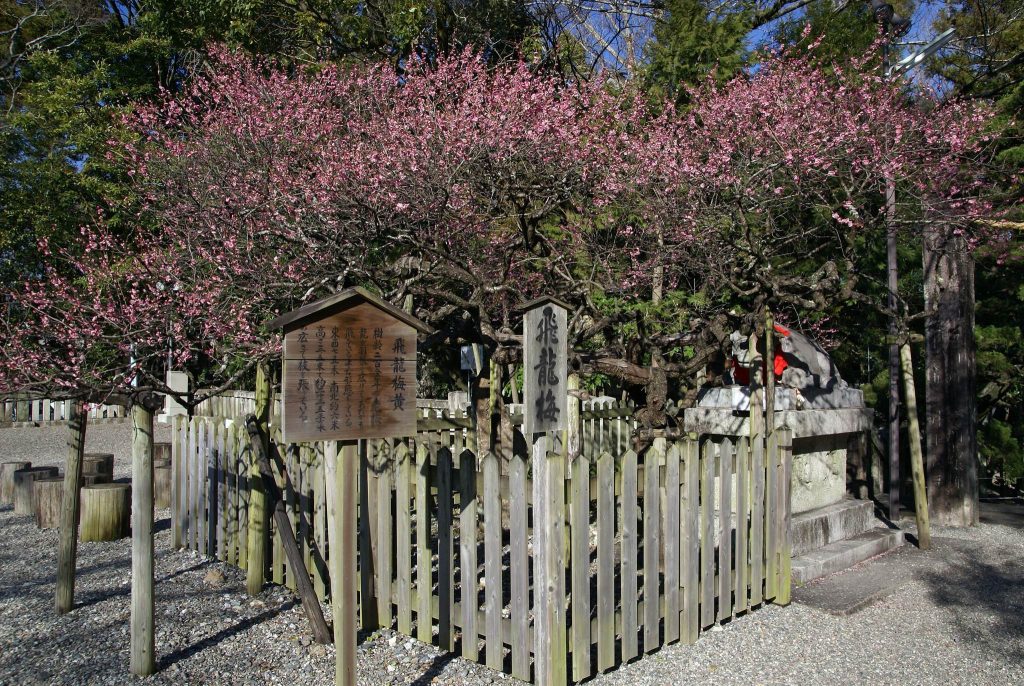 Shioe Tenmangū: A Tenmangū Shrine in Kōchi, Japan 3 Shioe Tenmangū