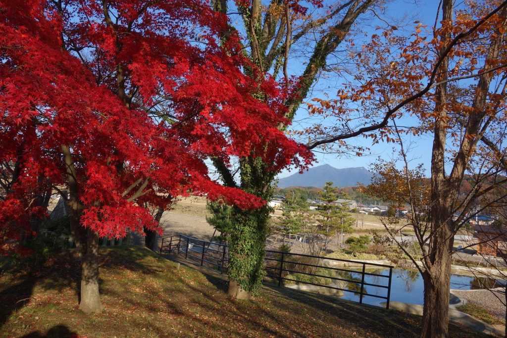 Oda Castle: A Medieval Japanese Castle and Oda Clan Residence 3 Oda Castle