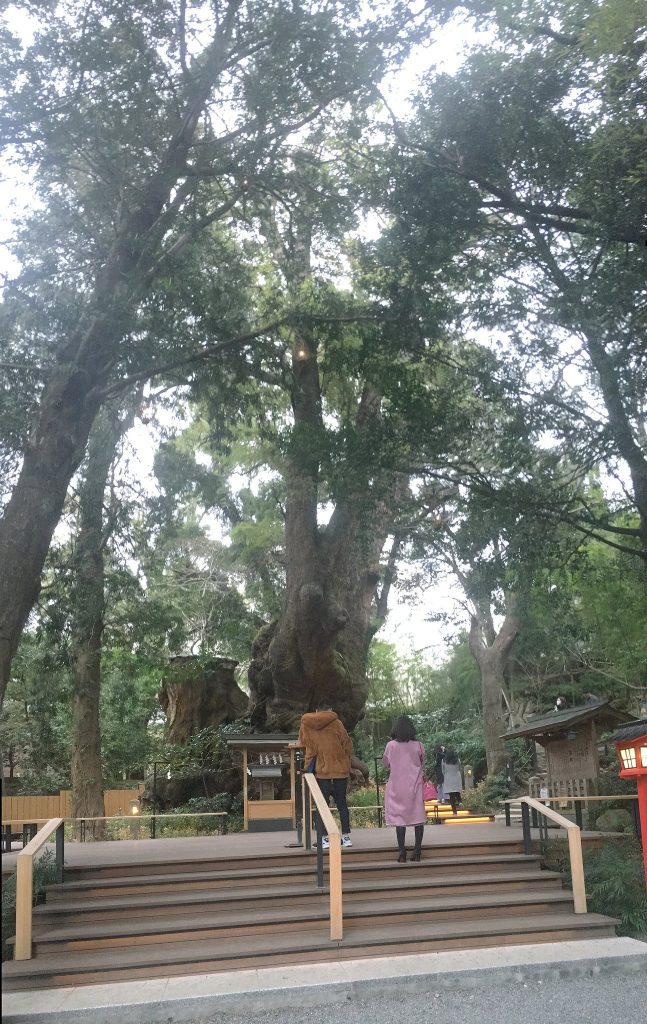 Kinomiya Shrine
