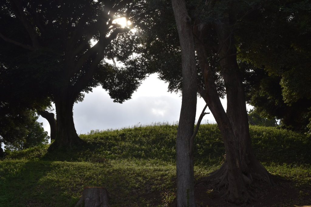 Isohama Kofun Cluster
