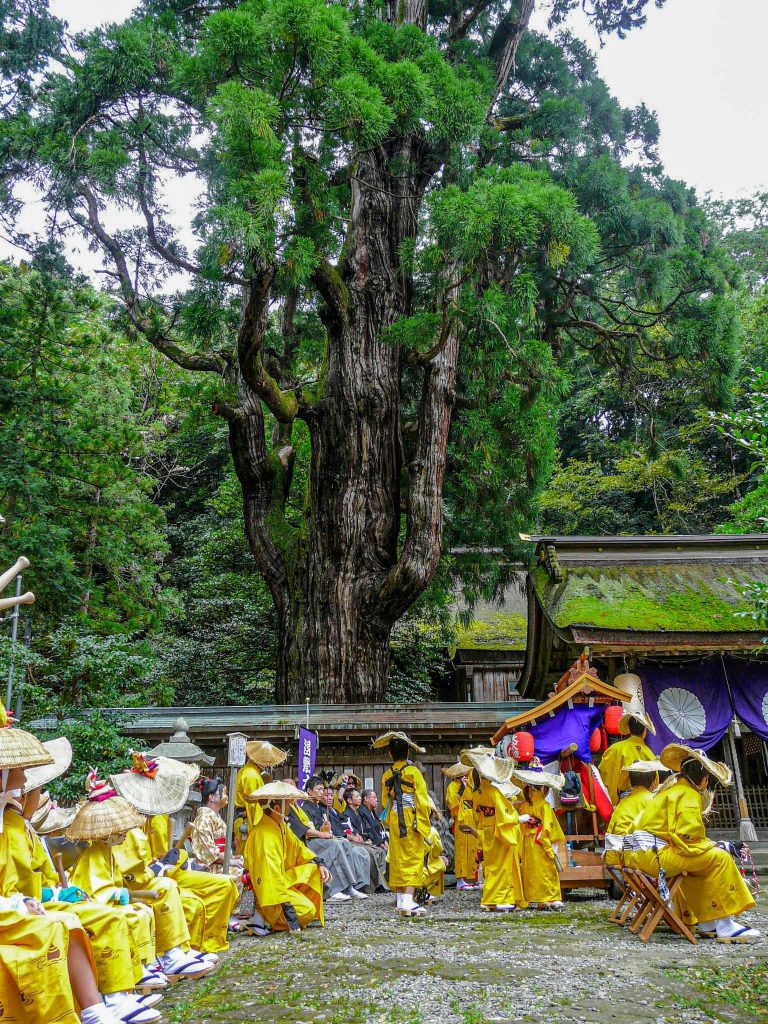 Wakasahiko Shrine: A Historic Shinto Shrine Complex in Fukui, Japan 3 Wakasahiko Shrine