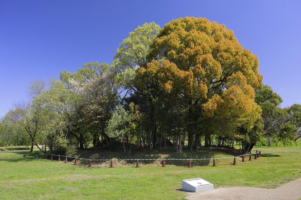 Shidami Kofun Group: Ancient Burial Mounds in Nagoya 5 Shidami Kofun group