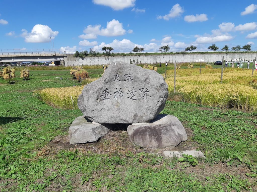 Tareyanagi Site