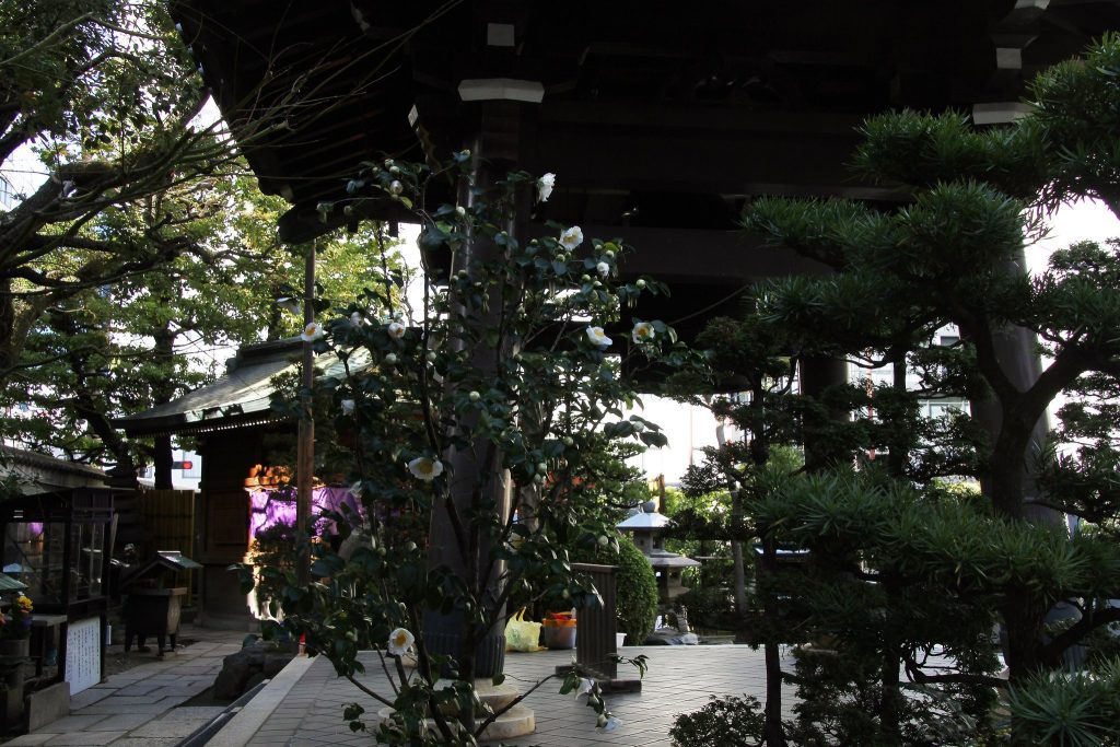 Taiyū-ji Temple: A Historic Shingon Buddhist Temple in Osaka 4 Taiyū-ji Temple