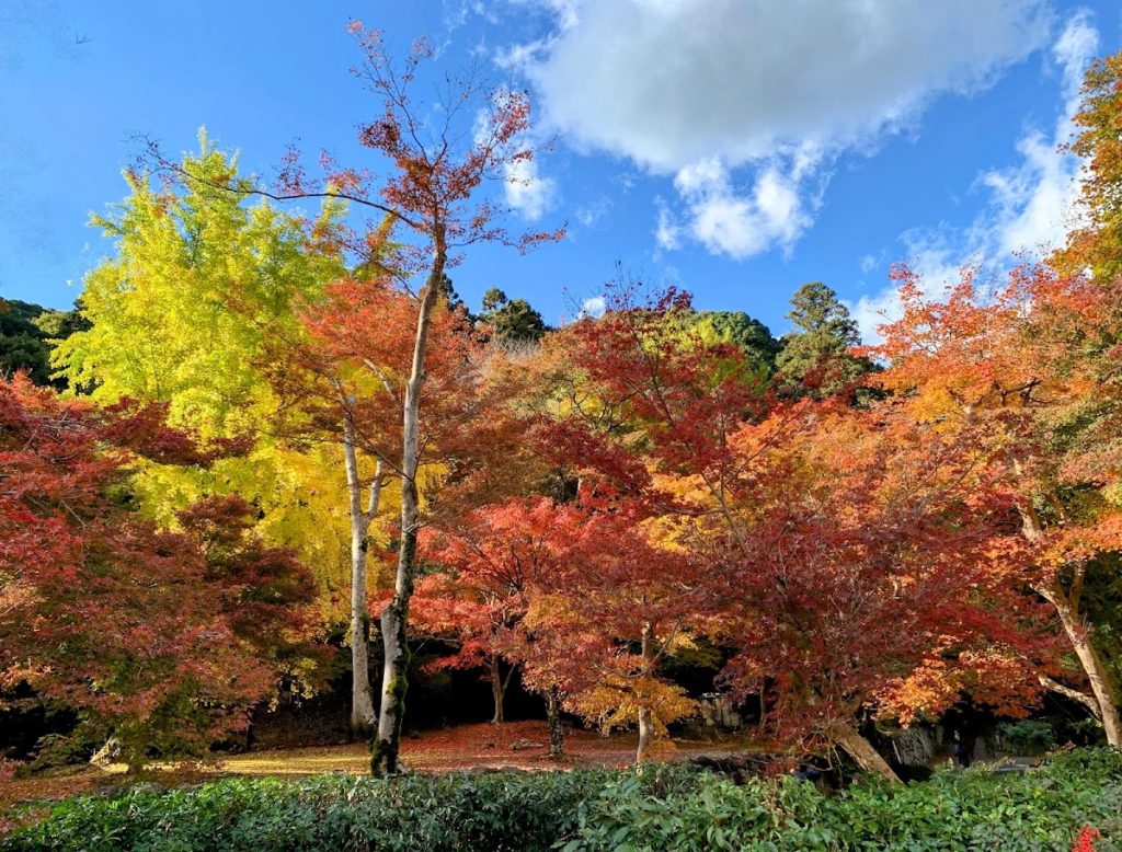 Shōryaku-ji Temple