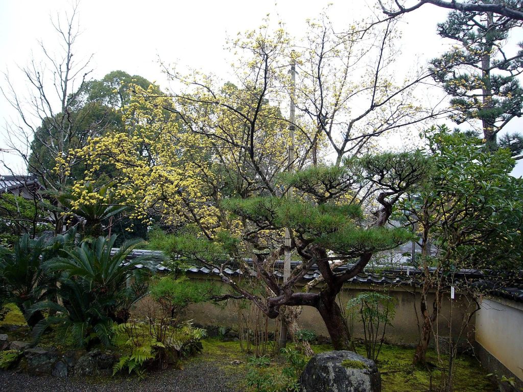 Tenryū-ji Temple: A Memorial Rinzai Zen Temple in Kyoto 4 Tenryū-ji Temple