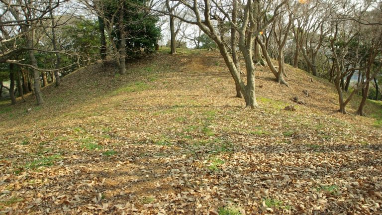 Shōbōji Kofun: A Keyhole-Shaped Burial Mound in Japan