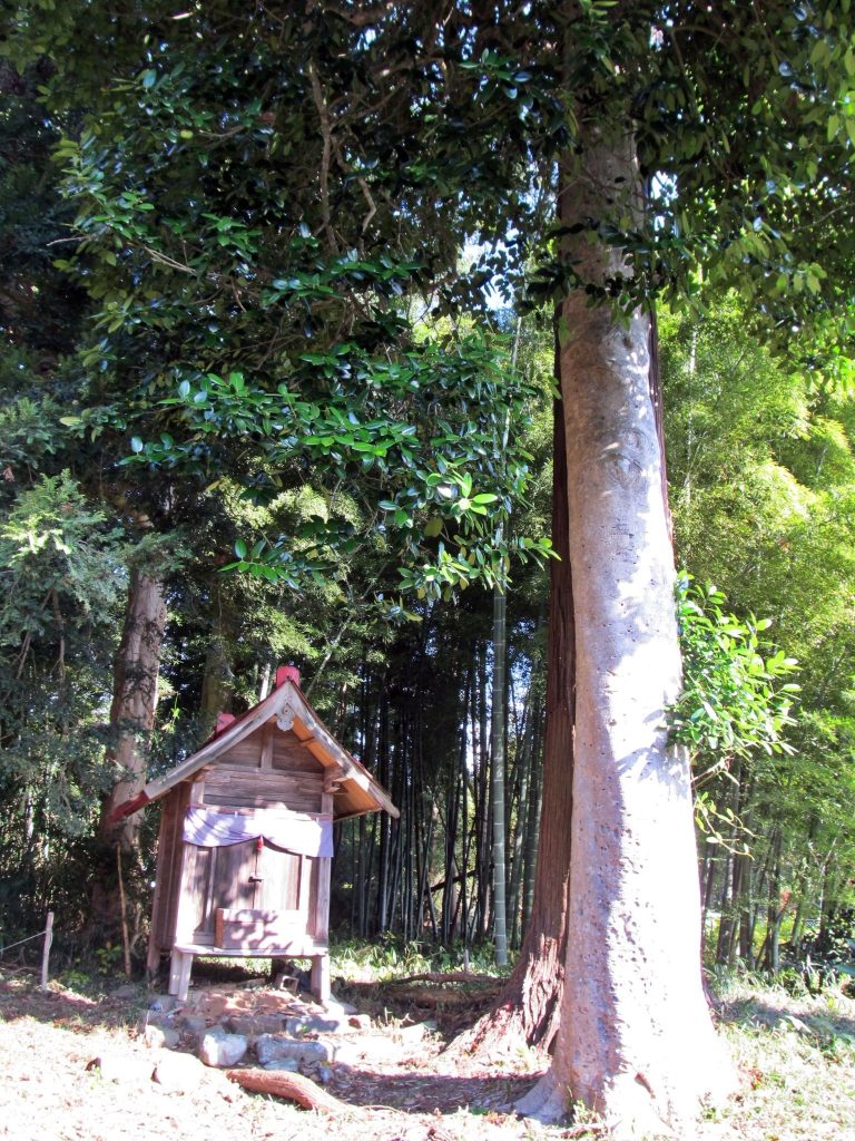 Saeno Shrine