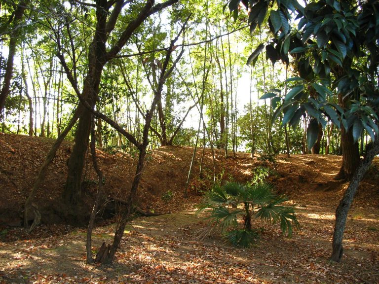 Nirengi Castle: A Sengoku-Period Japanese Stronghold in Toyohashi