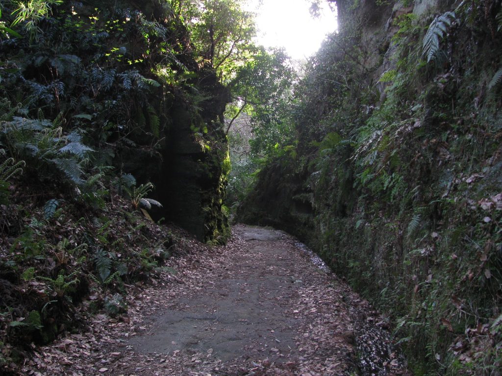 Asaina Pass