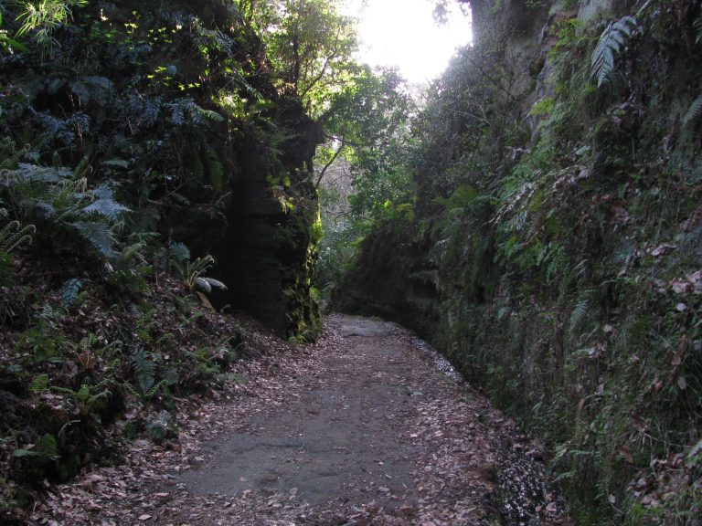 Asaina Pass: A Medieval Road Cut-through in Japan