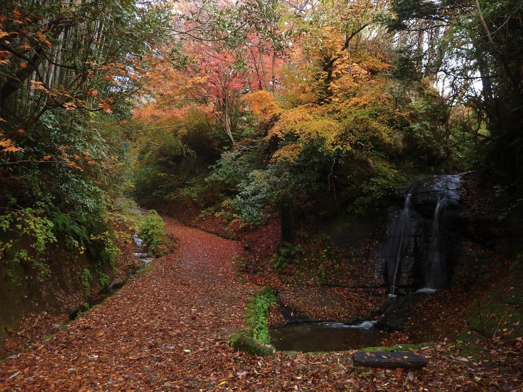 Asaina Pass