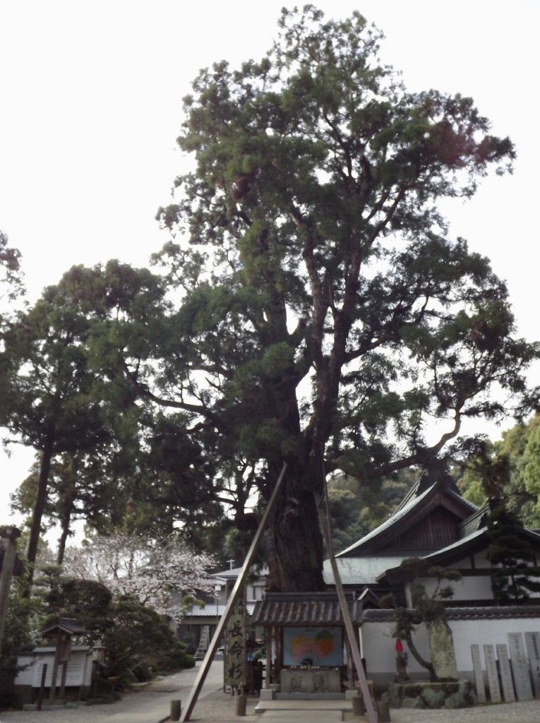 Gokuraku-ji Temple: A Shingon Buddhist Pilgrimage Temple in Naruto, Japan 2 Gokuraku-ji Temple