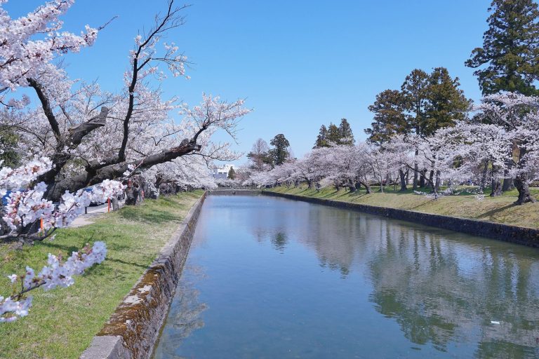 Tsurugaoka Castle: The Administrative Seat of Shonai Domain