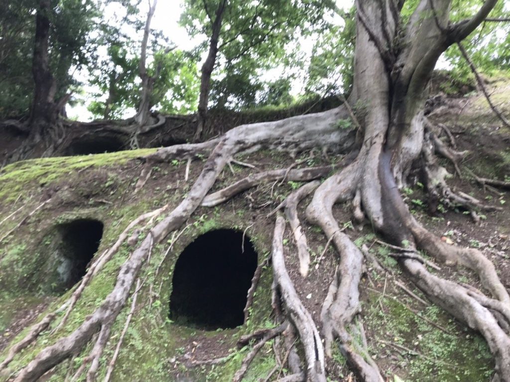 Kashiya Cave Tombs: A Large Ancient Necropolis in Japan 3 Kashiya Cave Tombs