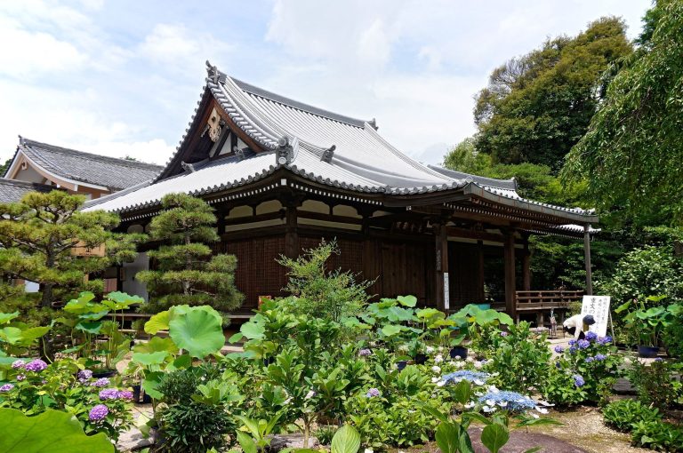 Hōkongō-in Temple: A Historic Risshū Buddhist Temple in Kyoto