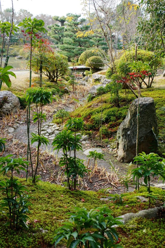 Hōkongō-in Temple: A Historic Risshū Buddhist Temple in Kyoto 3 Hōkongō-in Temple
