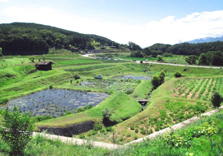 Idojiri Site: A Middle Jōmon Settlement in Japan