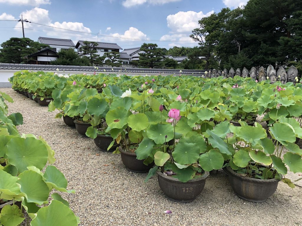 Kikō-ji Temple: A Hossō Buddhist Temple in Nara, Japan 2 Kikō-ji Temple
