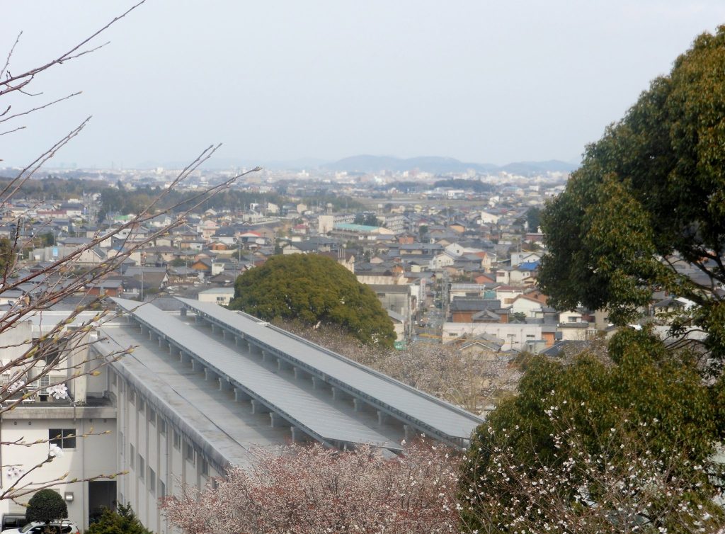 Tamaru Castle