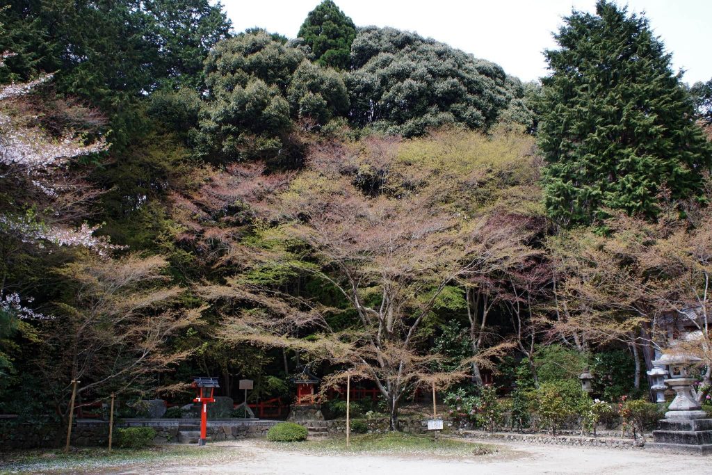 Ōharano Shrine: A Kasuga Branch Shrine in Kyoto 4 Ōharano Shrine