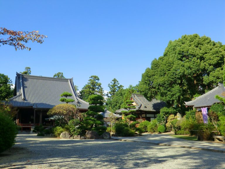 Kume-dera Temple: A Shingon Buddhist Temple in Kashihara, Japan