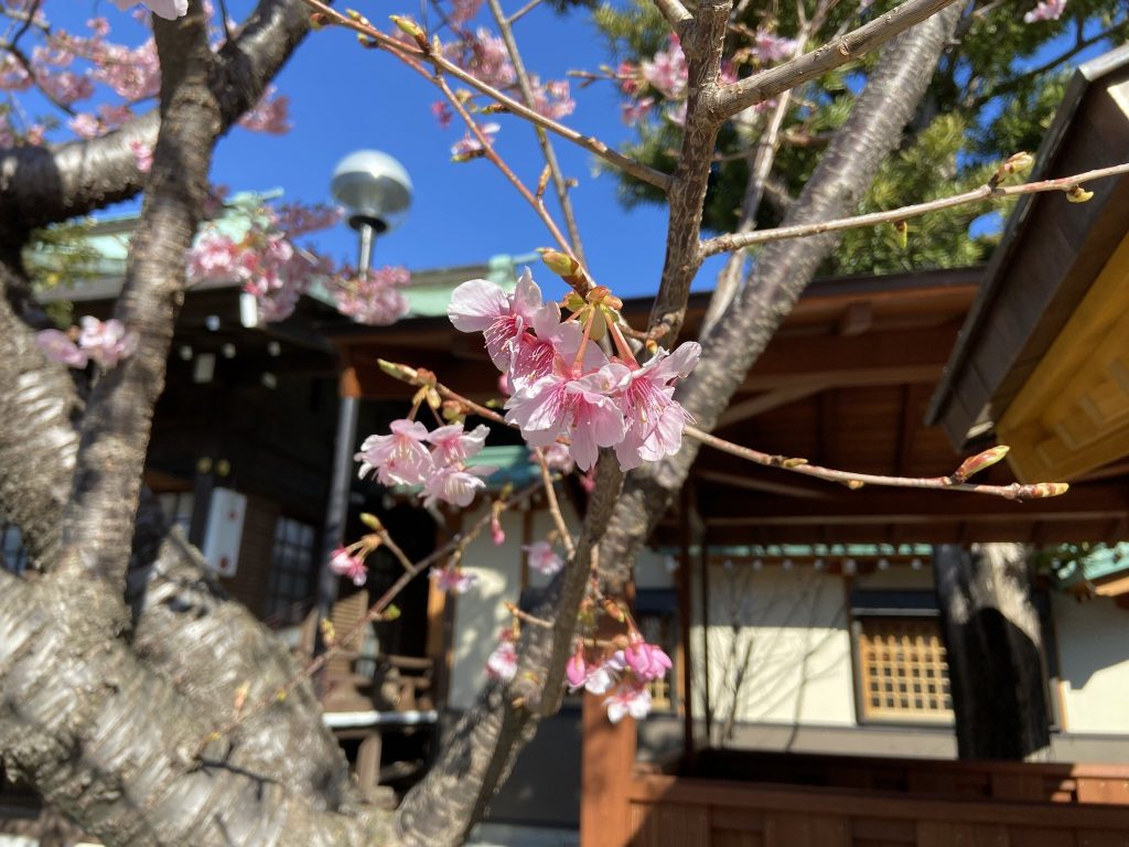 Hie Shrine (Numazu)