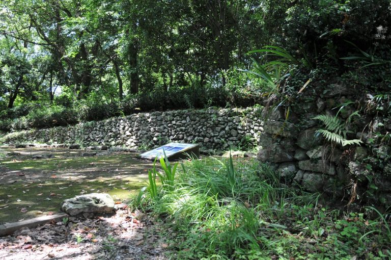 Okō Castle: A Medieval Chōsokabe Stronghold in Japan