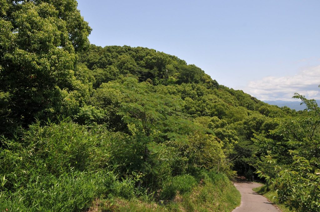 Okō Castle: A Medieval Chōsokabe Stronghold in Japan 5 Okō Castle