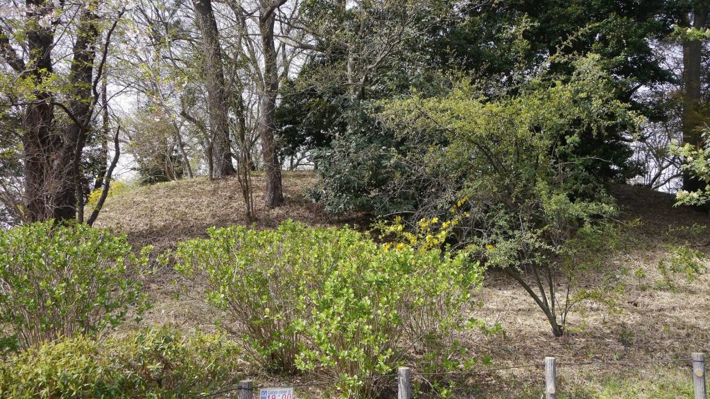 Hōraisan Kofun: An Elite Burial Mound in Tokyo 4 Hōraisan Kofun
