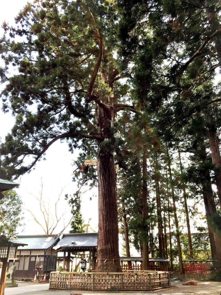Hitaka Shrine: A Shinto Shrine in Oshu, Japan 2 Hitaka Shrine