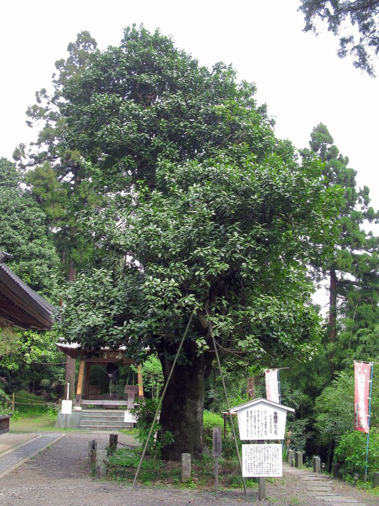 Jikō-ji Temple