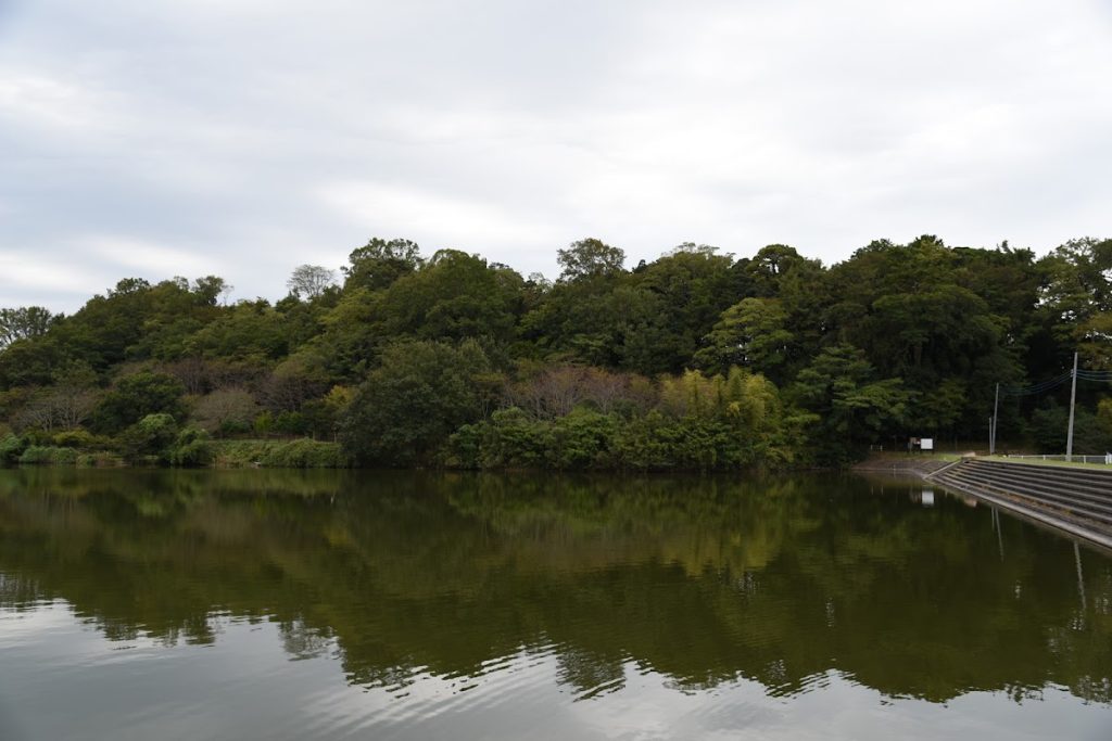 Nirayama Castle