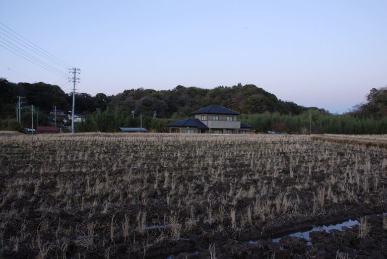 Sanuki Castle: A Strategic Japanese Castle and Domain Seat in Chiba