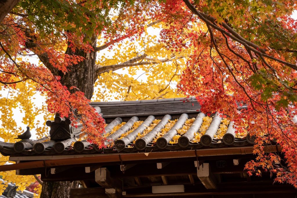 Tamukeyama Hachiman Shrine: Tōdai-ji’s Tutelary Shrine in Nara 4 Tamukeyama Hachiman Shrine