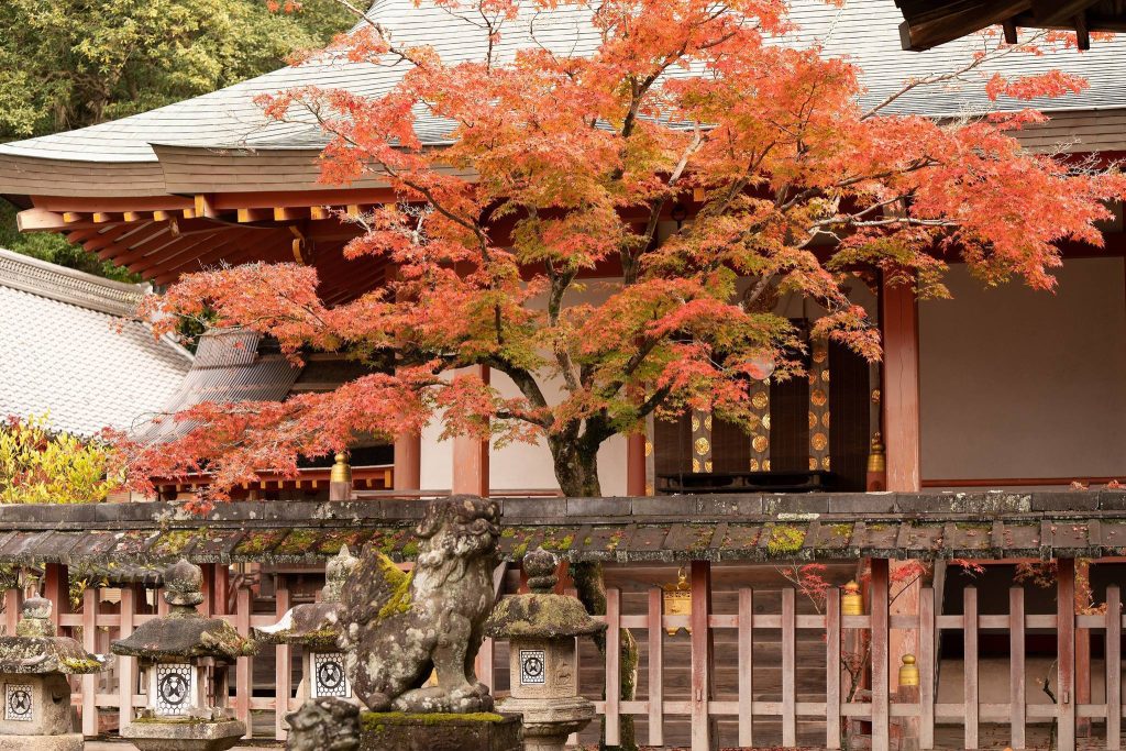 Tamukeyama Hachiman Shrine: Tōdai-ji’s Tutelary Shrine in Nara 5 Tamukeyama Hachiman Shrine