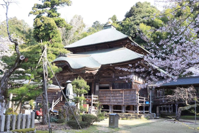 Matsunoo-dera Temple: A Shingon Buddhist Temple in Maizuru, Japan