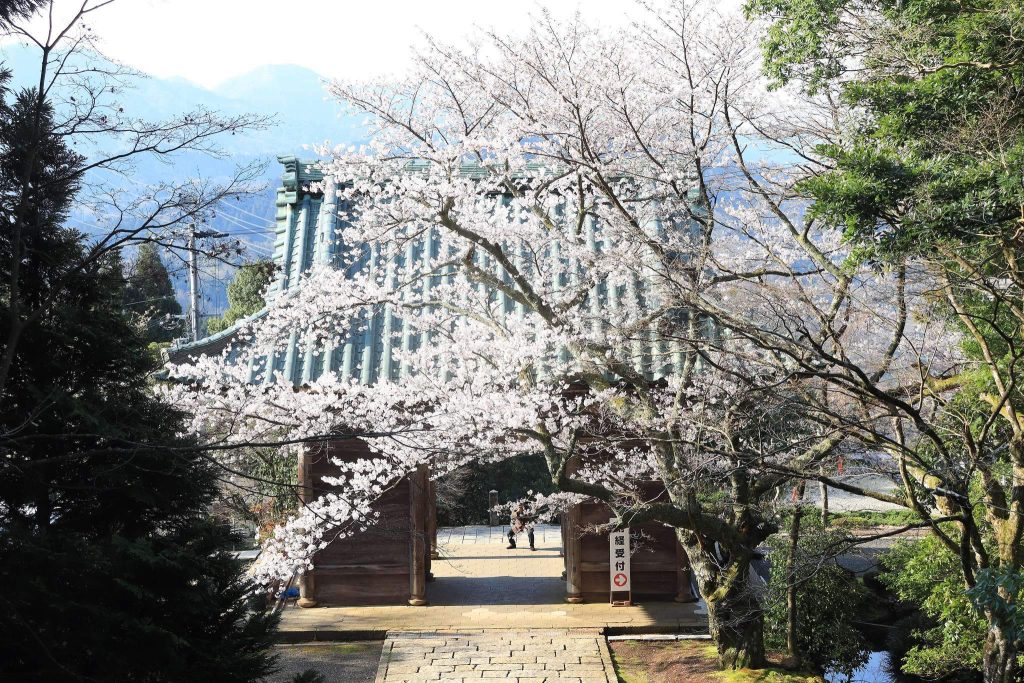 Matsunoo-dera Temple: A Shingon Buddhist Temple in Maizuru, Japan 2 Matsunoo-dera Temple