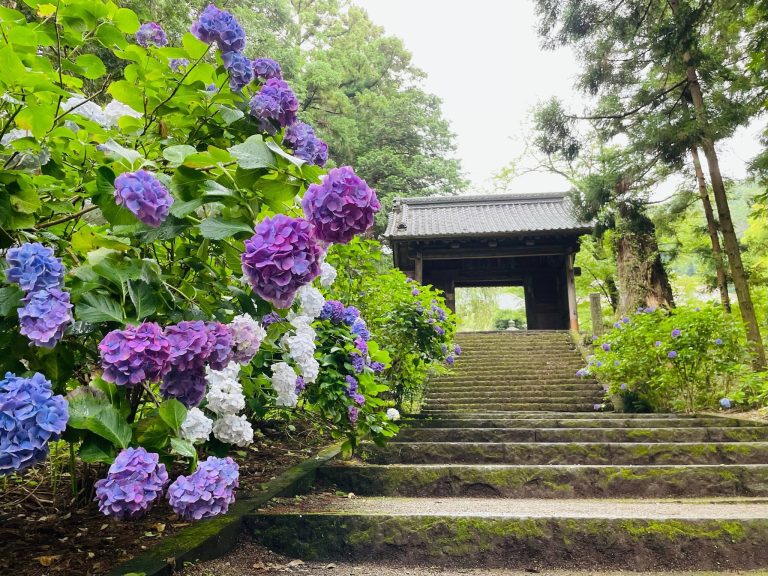 Daichū-ji Temple: A Sōtō Zen Administrative Monastery in Japan