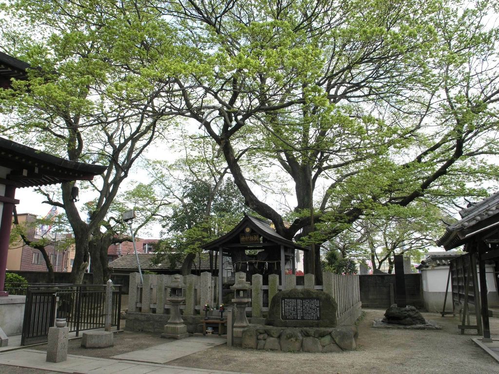 Taiseishōgun-ji Temple: A Buddhist Temple in Yao, Osaka 4 Taiseishōgun-ji Temple