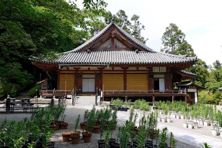 Matsuo-dera Temple: A Mountain Temple for Prayers Against Misfortune