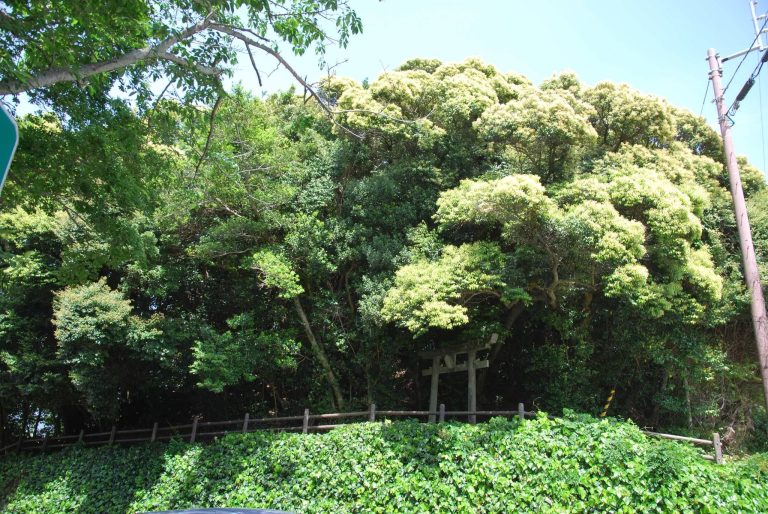 Urado Castle: A Maritime Stronghold in Japan