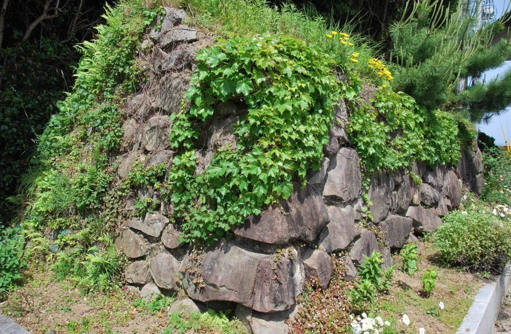 Urado Castle: A Maritime Stronghold in Japan 3 Urado Castle