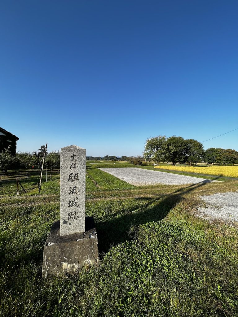 Isawa Castle