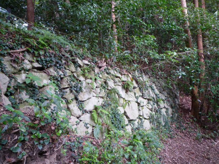 Tachibana Castle: A Medieval Mountain Fortress in Japan