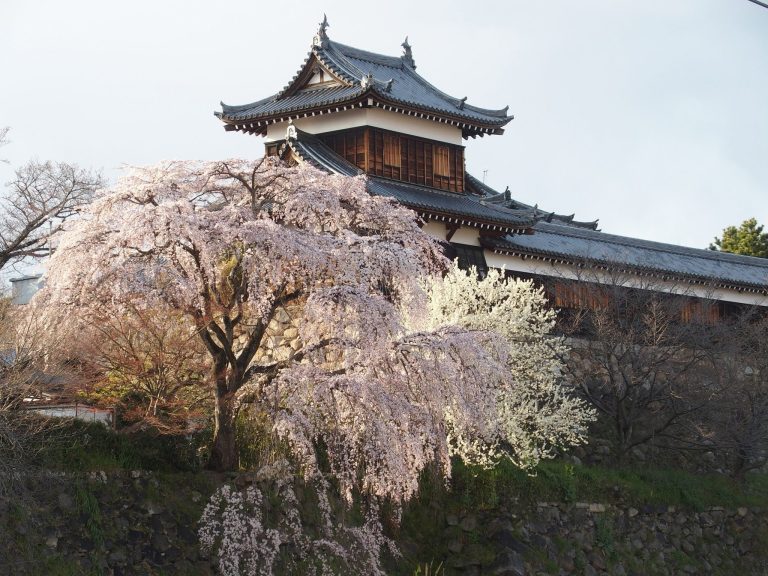 Kōriyama Castle: A Sengoku Stronghold and Edo-Period Domain Center in Japan