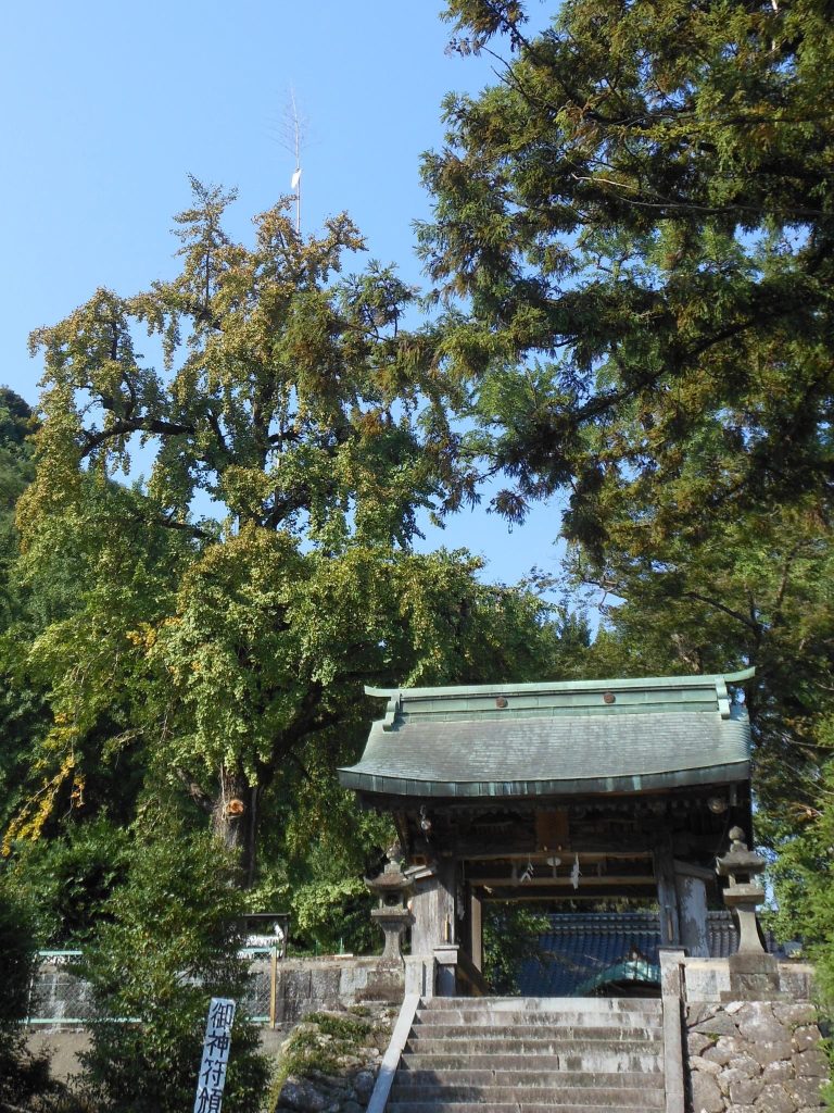 Ayabe Shrine: A Hachiman Shrine and Center of Wind Divination in Japan